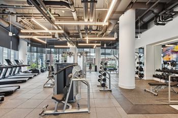 Fitness club with cardio and muscle toning equipment, free weights